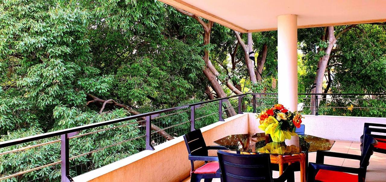 Spacious Luxury Apt, 12 Min Walk To Croisette Beach And Conf Centre คานส์ ภายนอก รูปภาพ